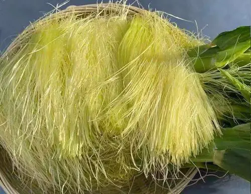 痛風(fēng)食療指南！8種低嘌呤食物建議常吃，溫和緩解不適少復(fù)發(fā)